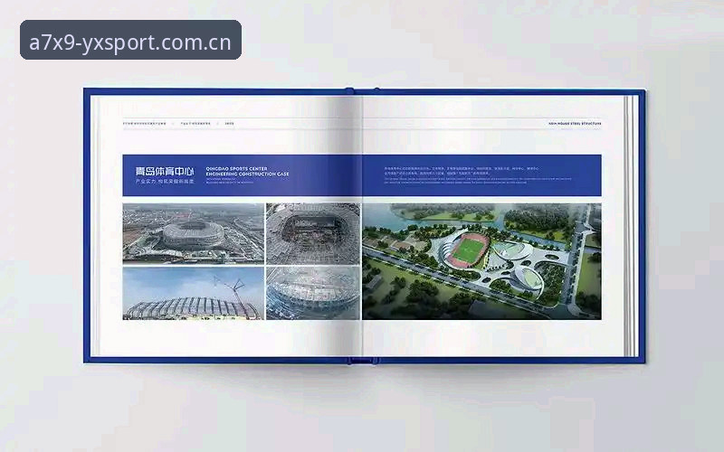亚新体育平台评测 vs 2026可靠性深度解析：哪个更值得选择？